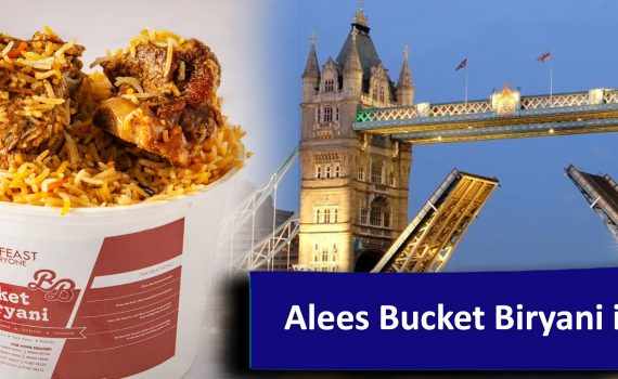 Alees Bucket Biryani