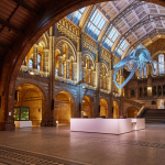 The Ultimate Guide to London’s Museums