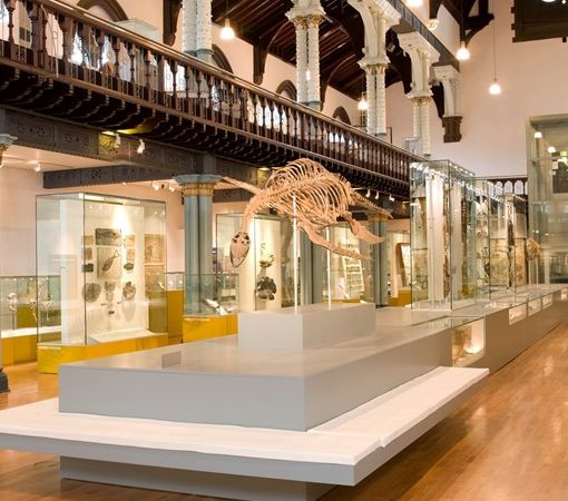 Hunterian Museum in London