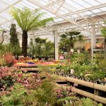 Garden Centre
