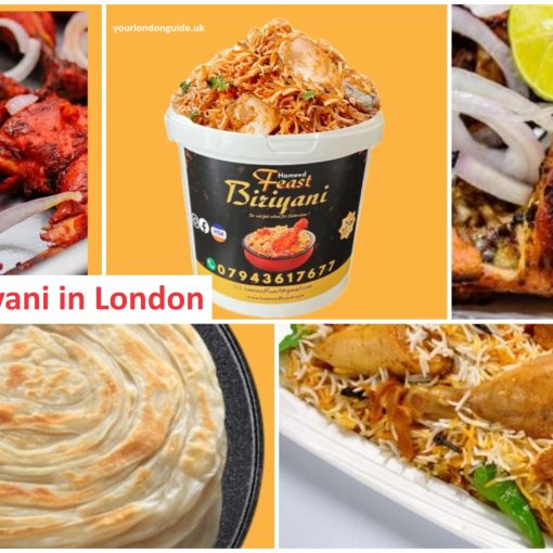 Hameed bucket briyani