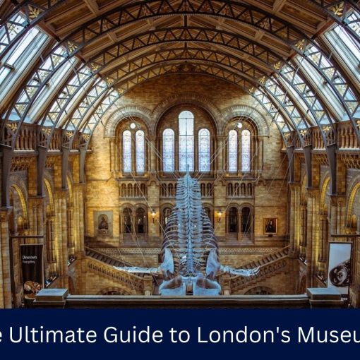 The Ultimate Guide to London's Museums